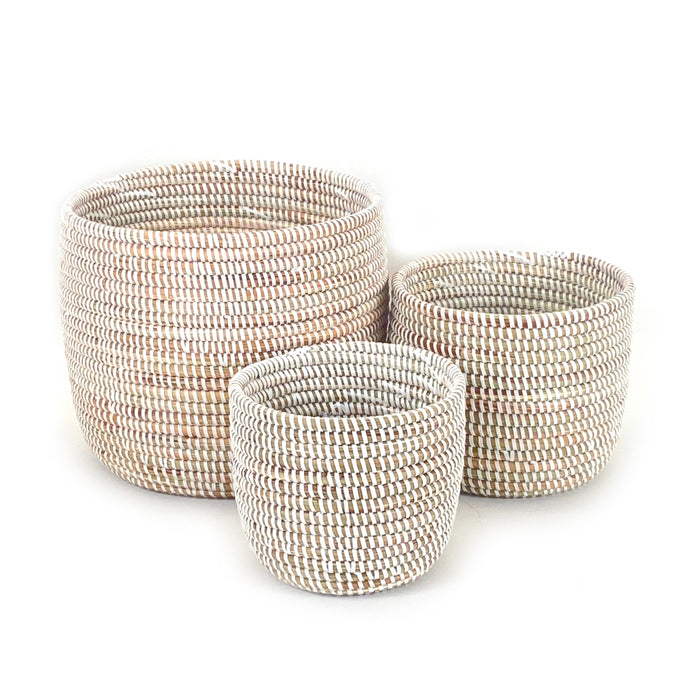 Catch-All / Planter Basket